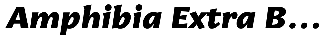 Amphibia Extra Bold Italic